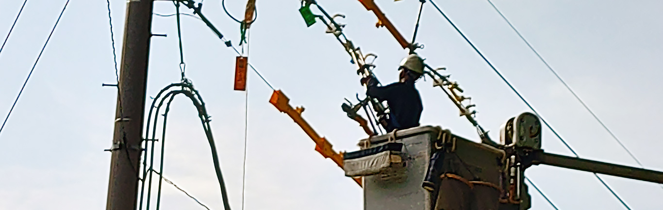 事業紹介イメージ